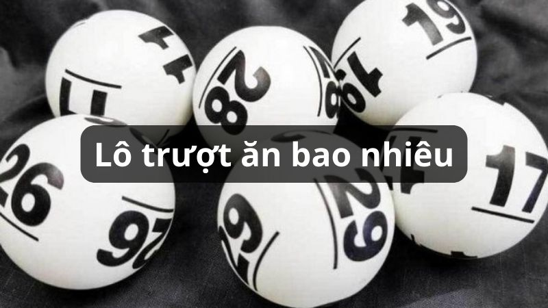 Đôi nét sơ lược về bộ môn lô trượt